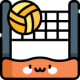 volleyball