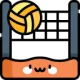 volleyball