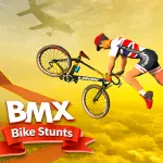 Play BMX Bike Stunts