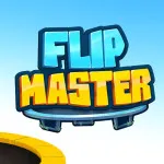 PLay Flip Master now!