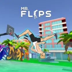 Play Mr Flip
