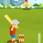 PLay Street Cricket now!