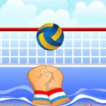 PLay Volley Ball now!