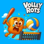 Play Volley Rots
