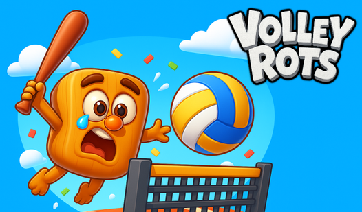 Play Volley Rots